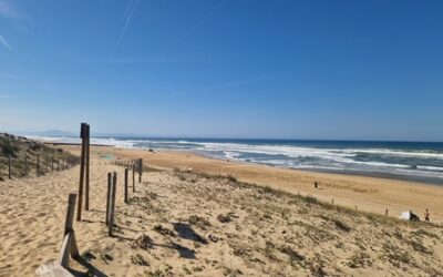 Les règles pour débuter le surf en toute sécurité