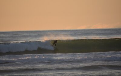 Où surfer à Labenne, Ondres et Tarnos?