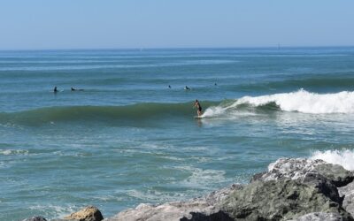 Surf : Les spots de repli dans les Landes