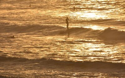 Location de planche de surf à l’année dans les Landes