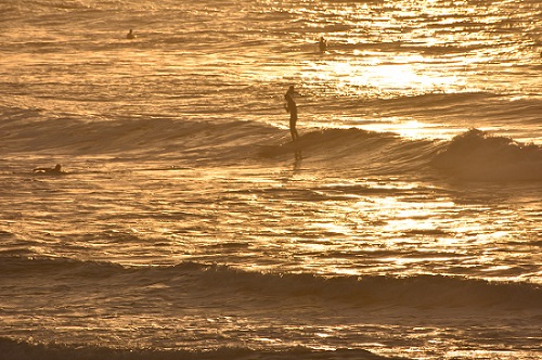 location de surf à Labenne